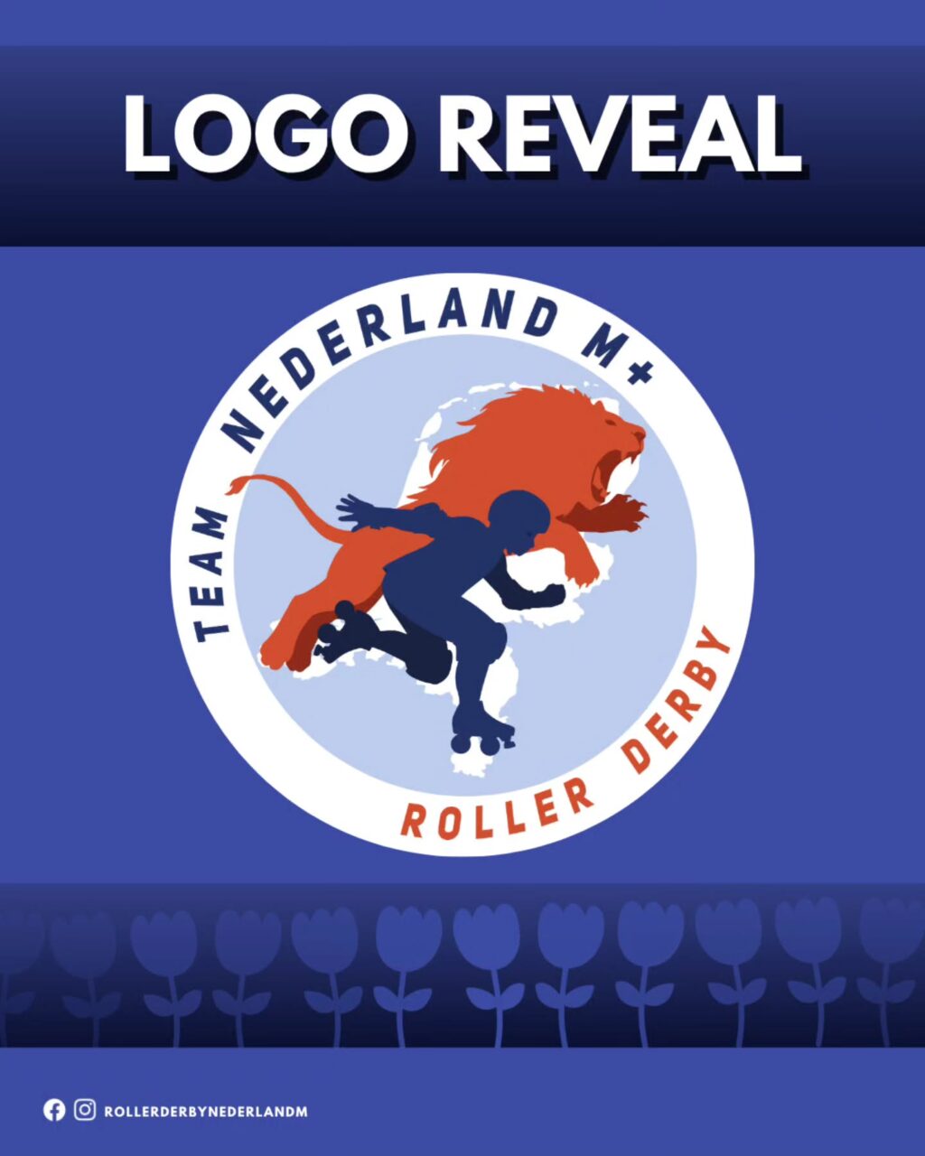 Instagram post from rollerderbynederlandm. This post is in position 6.
